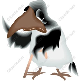 Whimsical Bird