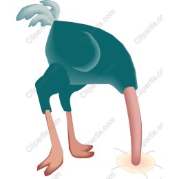 Whimsical Bird