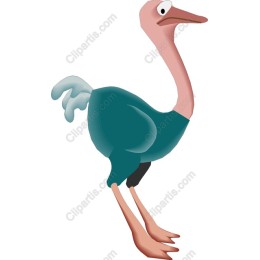Playful Ostrich