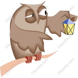 Charming Owl with Lantern