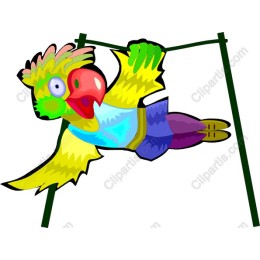 Colorful Cartoon Parrot