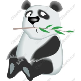 Adorable Panda