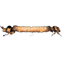 Vintage Scroll