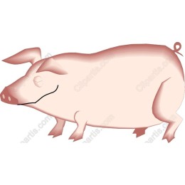 Charming Pig