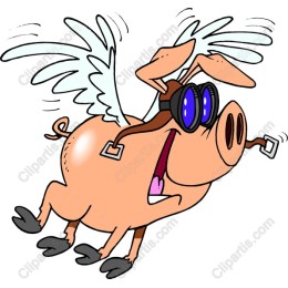 Flying Pig