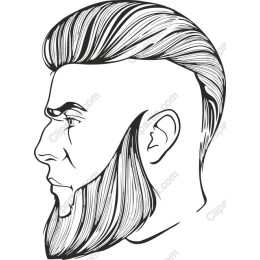 Stylish Male Profile