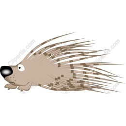 Cartoon Porcupine