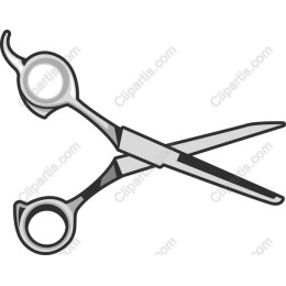 Premium Professional Scissors