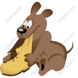 Playful Dog Enjoying a Shoe