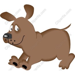 Playful Brown Dog
