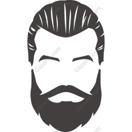 Premium Beard work
