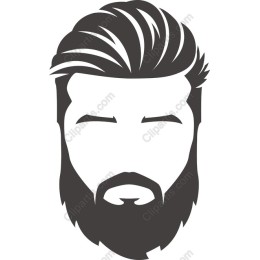 Stylish Beard