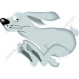 Playful Running Dog