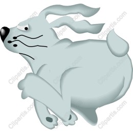 Quirky Dog