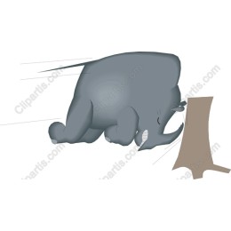 Dynamic Elephant
