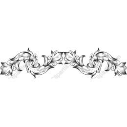 Elegant Floral Border s