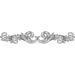 Elegant Floral Border