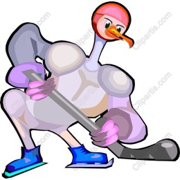 Hockey Bird