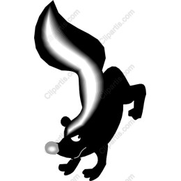 Playful Skunk