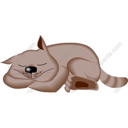 Sleeping Cat