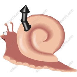 Whimsical Snail with Arrow