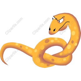 Playful Yellow Snake