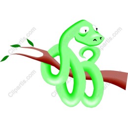 Playful Green Snake on Branch