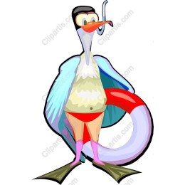 Playful Beach Bird