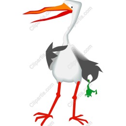 Playful Stork