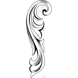Elegant Ornate Swirl