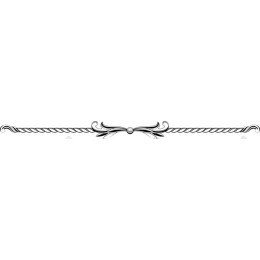 Elegant Decorative Border