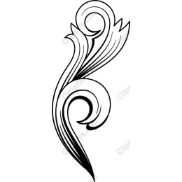 Elegant Ornate Flourish