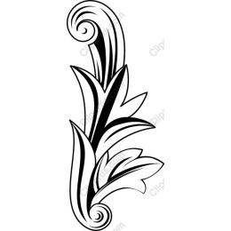 Elegant Floral