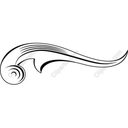 Elegant Swirl
