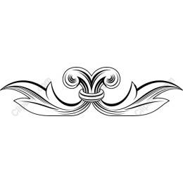 Exquisite Decorative Flourish