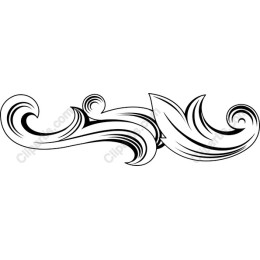 Elegant Swirl