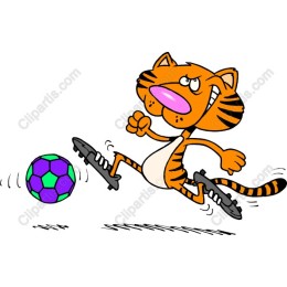 Tiger Soccer Fun