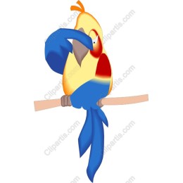 Colorful Playful Parrot