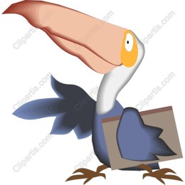Charming Toucan