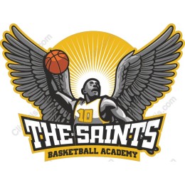 The Saints Basketball Academy