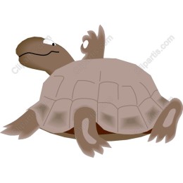 Whimsical Turtle
