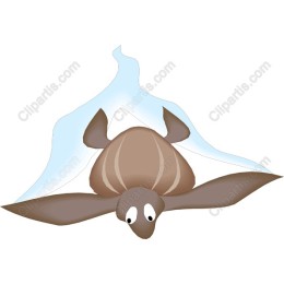 Playful Ocean Turtle