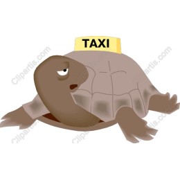 Taxi Turtle