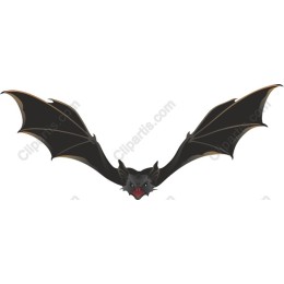 Bat