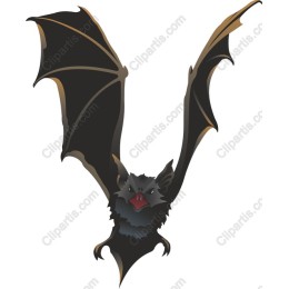 Fierce Bat