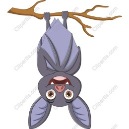 Charming Cartoon Bat