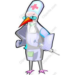 Doctor Bird