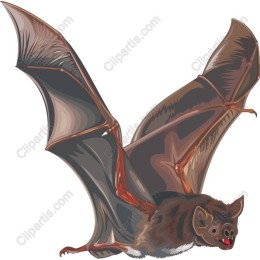 Flying Bat