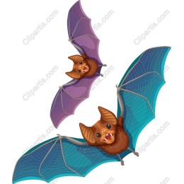 Charming Cartoon Bat