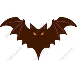 Spooky Bat